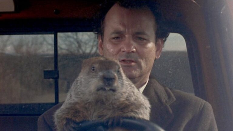 14 Groundhog Day Quotes That Hit Differently Every Time