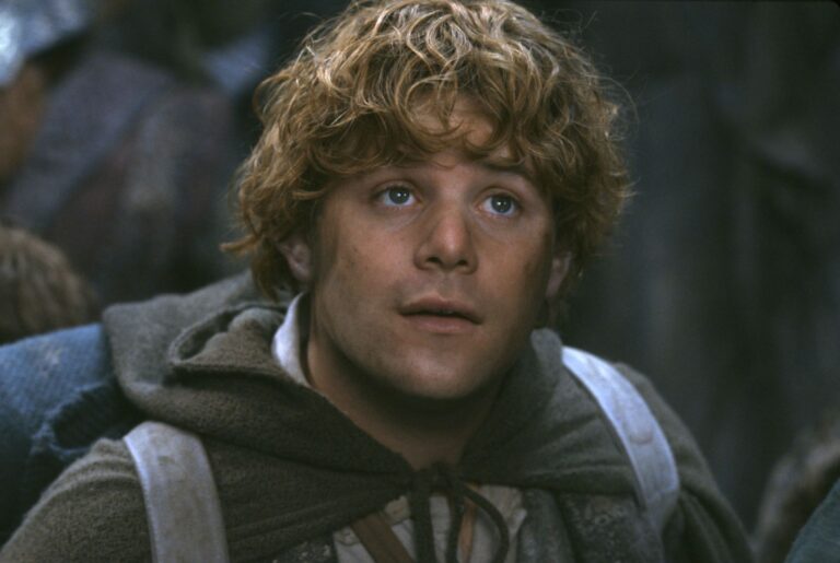 16 Fellowship of the Ring Quotes We Love