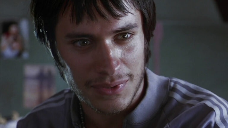 13 Amores Perros Quotes That Cut Deep and Leave Scars